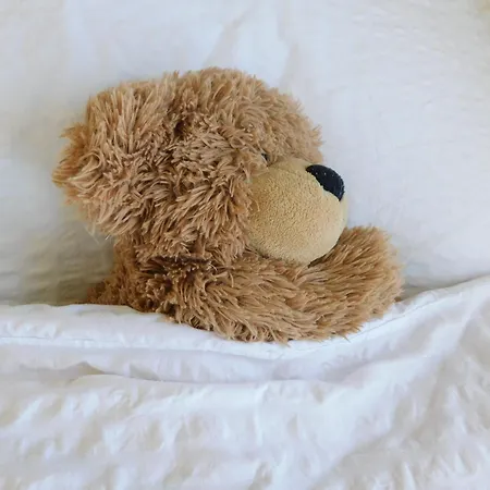 Hotel Baerenhaus Bergen (Lower-Saxony)