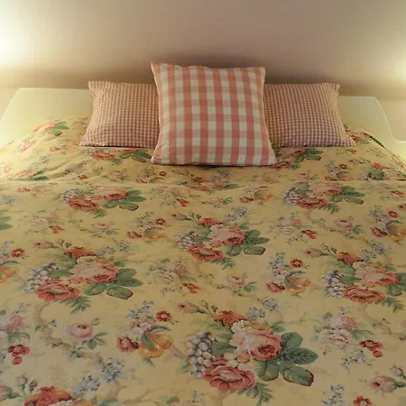 Hotel Baerenhaus 3*